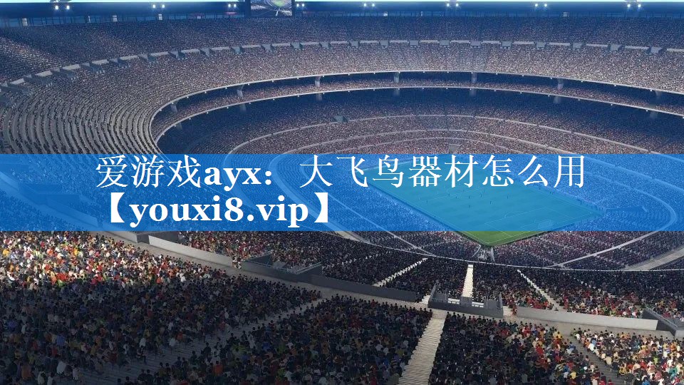 爱游戏ayx：大飞鸟器材怎么用