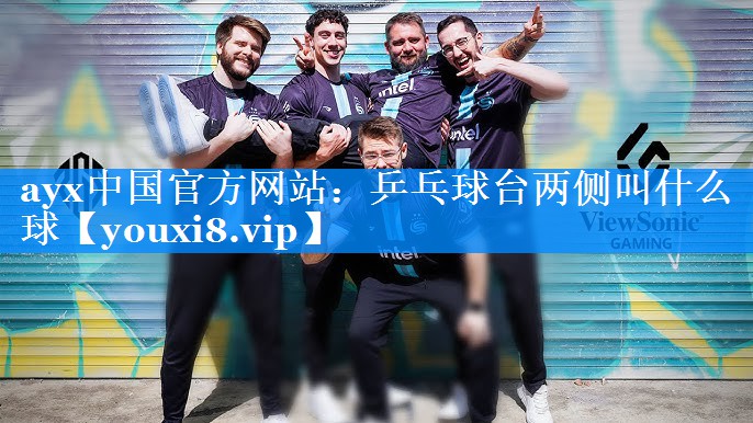乒乓球台两侧叫什么球 乒乓球台两侧叫什么球