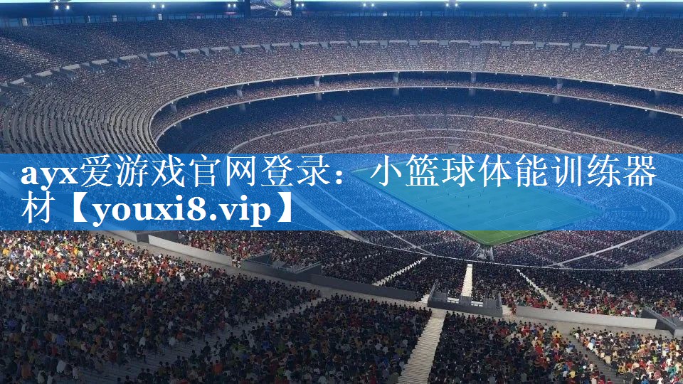 小篮球体能训练器材 小篮球体能训练器材