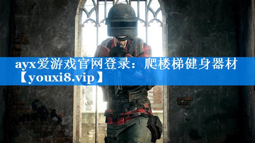 爬楼梯健身器材 爬楼梯健身器材